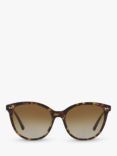 BVLGARI 0BV8235504/T555 Women's Polarised Oval Sunglasses, Havana/Brown Gradient