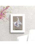 John Lewis Nicola Jane Rowles 'In a Flap' Framed Print & Mount, 43.5 x 33.5cm, White/Multi