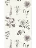 Clarke & Clarke Roseraie Wallpaper, Charcoal