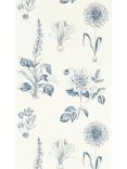 Clarke & Clarke Roseraie Wallpaper, Midnight