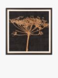 John Lewis Charlotte Oakley 'Copper Allium' Embellished Framed Print & Mount, 36 x 36cm, Dark Grey/Metallic