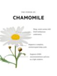 anatome Restless Mind Roman Chamomile Sensory Oil, 30ml