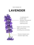 anatome Bath & Shower Oil Lavender, 150ml