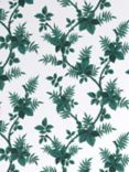 John Lewis X Collagerie Botanical Vine Wallpaper, Green