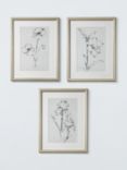 John Lewis Ethan Harper 'Floral Ink Study' Framed Print & Mount, Set of 3, 42 x 32cm, Natural