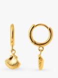 Orelia Shell Drop Huggie Hoop Earrings, Gold