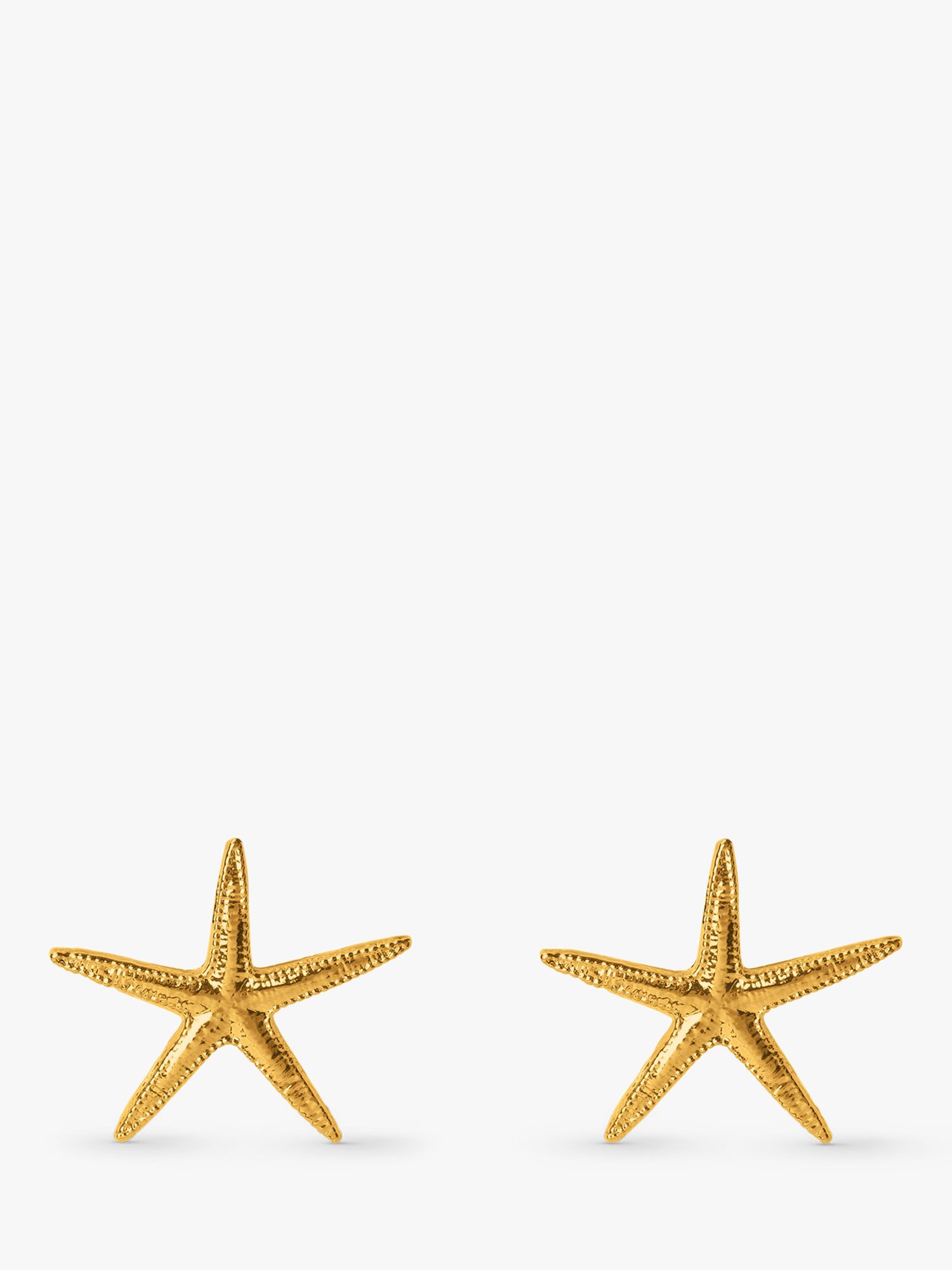 Buy Orelia Large Starfish Stud Earrings Online at johnlewis.com