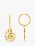 Orelia Statement Open Ammonite Drop Hoop Earrings, Gold