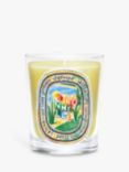 Diptyque Citronnelle Limited Edition Scented Candle, 190g