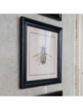 One.World Brookby Bee Wood Framed Wall Art, Set of 3, 38 x 38cm, Black