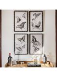 One.World Butterfly Wood Framed Print, Set of 2, 60 x 40cm, Black/White