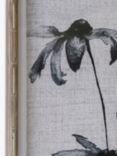 One.World Brookby Wilter Flower Wood Framed Print, Set of 2, 70 x 50cm, Black