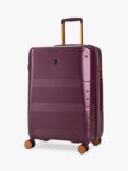 Rock Mayfair 8-Wheel 65cm Medium Suitcase, Purple