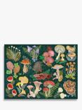 Galison World of Mushrooms Jigsaw Puzzle, 1000 Pieces