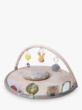 Taf Toys Tummy Time Activity Gym