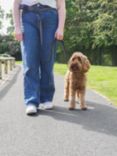 Rosewood Hands Free Dog Walking Belt, Multi