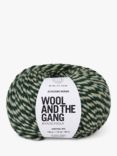 Wool And The Gang Alpachino Merino Twist Knitting Yarn, 50g, Heritage Mix