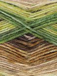 King Cole Bramble DK Crochet Yarn, 100g, Greengage