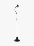 Serious Readers Alex Floor Lamp, Black