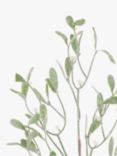 Floralsilk Artificial Frosted Mistletoe Spray, 60cm