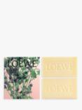 LOEWE Solid Soap Duo Set, Oregano