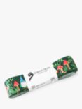 Berisfords Woodland Gnome 25mm Ribbon, L5m