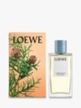 LOEWE Cypress Balls Home Fragrance Room Spray, 150ml