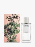 LOEWE Oregano Home Fragrance, 150ml