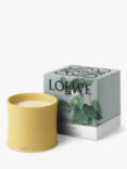 LOEWE Honeysuckle Scented Candle