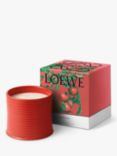 LOEWE Tomato Leaves Scented Candle