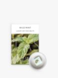 Glass & Wick Wild Mint Wax Melts, Pack of 6