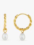 Orelia LUXE Rope Freshwater Pearl Drop Earrings, Pale Gold