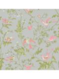 Cole & Sons Hummingbirds Wallpaper, Rose/Olive On Grey 124/1003