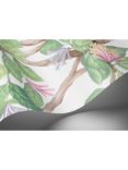 Cole & Son Hummingbirds Flora Wallpaper Panel