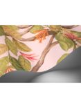 Cole & Son Hummingbirds Flora Wallpaper Panel, Tangerine/Blush 124/2009