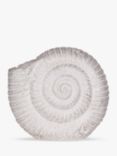 Laura Ashley Conch Shell Ornament, H12cm, White