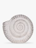 Laura Ashley Small Conch Shell Ornament, H9cm, White