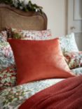 Laura Ashley Nigella Velvet Square Cushion, Terracotta