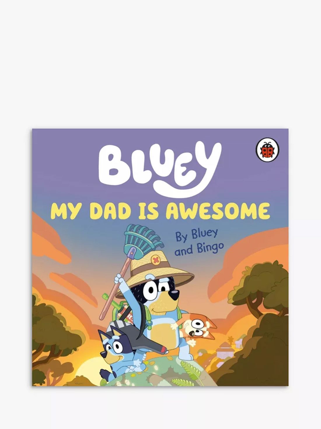 My Dad is Awesome, Bluey book