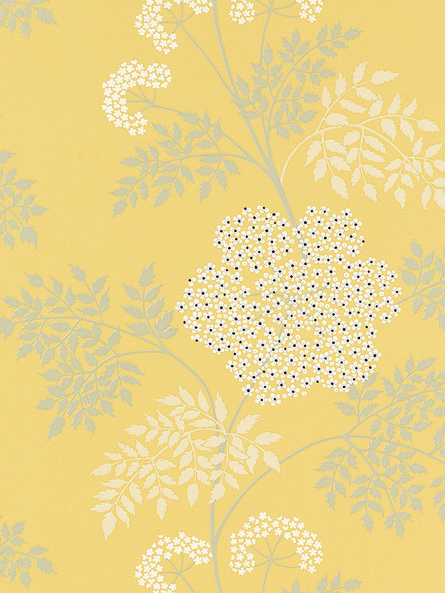 Sanderson Cow Parsley Wallpaper, DOPWCO105, Chinese Yellow