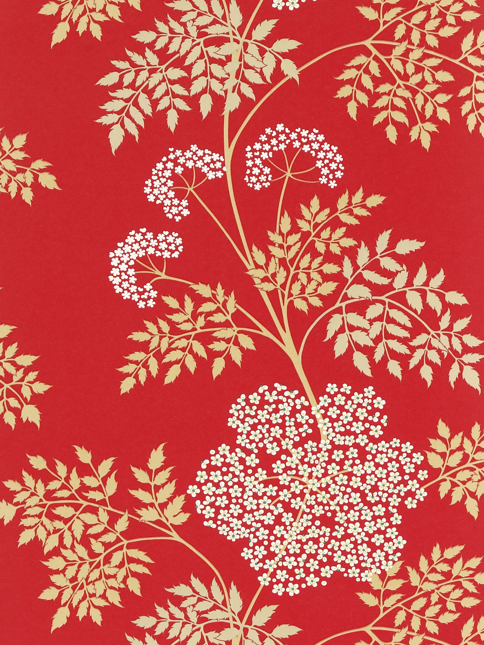 Sanderson Cow Parsley Wallpaper, DOPWCO102, Scarlet at John Lewis