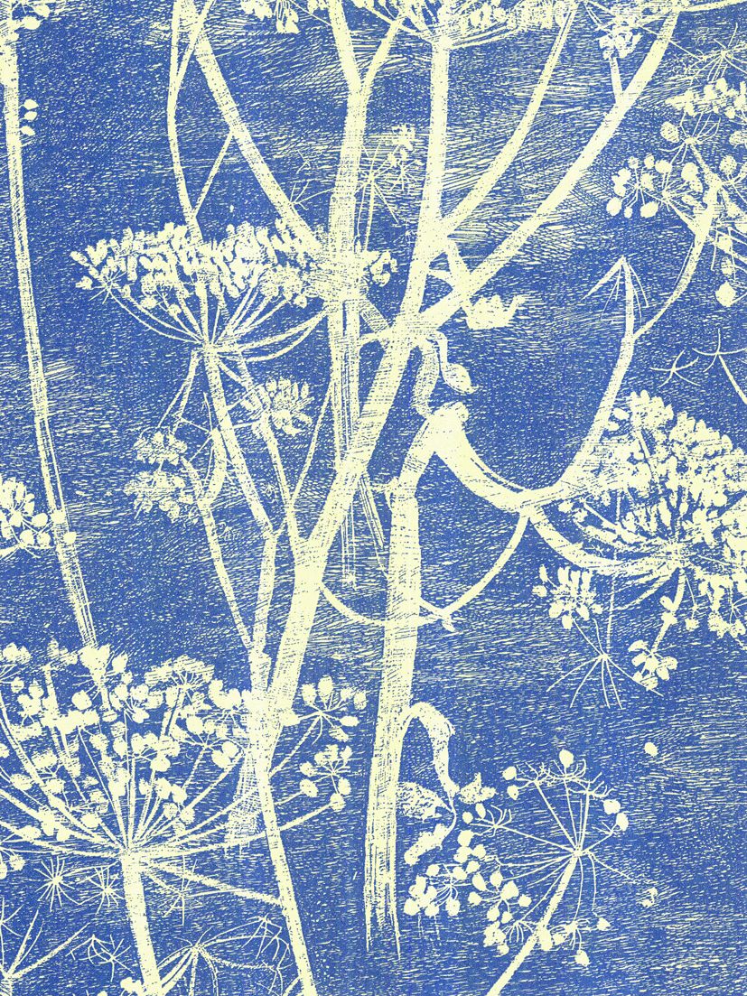 Cole & Son Cowparsley Wallpaper review