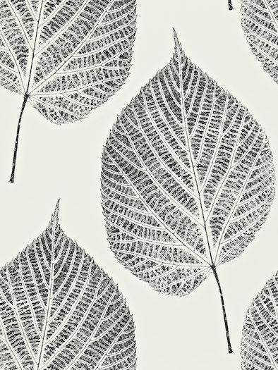 Harlequin Leaf Wallpaper at John Lewis & Partners