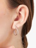 Jools by Jenny Brown Small 3/4 Hoop Earrings