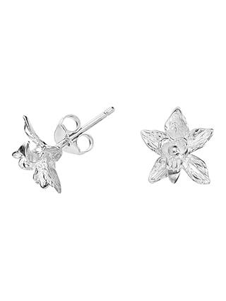 Dower & Hall Small Orchid Stud Earrings, Silver