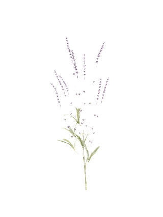Floralsilk English Lavender Spray