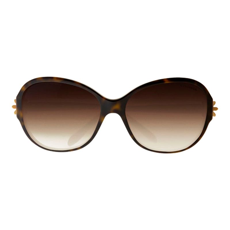 Tiffany & Co TF4068B Single Daisy Sunglasses