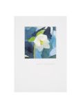 Woodmansterne Thinking Hellebore Sympathy Card