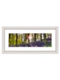 John Lewis Mike Shepherd 'Bluebell Woods' Framed Print, 52 x 107cm