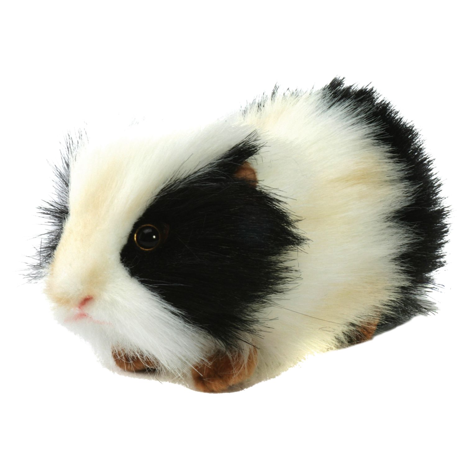 cuddly toy guinea pig